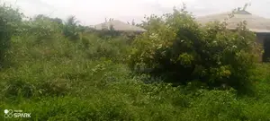 Half Plot of Land at Atiba/Egbe