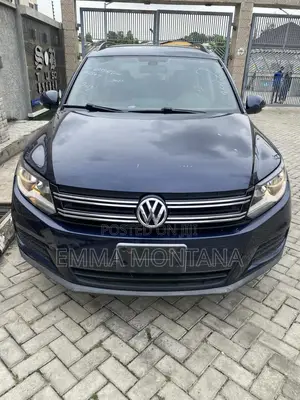 Volkswagen Tiguan 2012 Blue