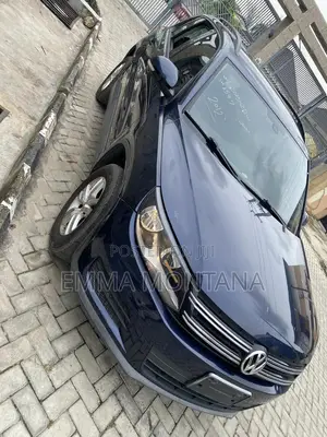 Volkswagen Tiguan 2012 Blue