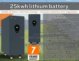 25kwh Felicity Lithium Battery 51.2volts 7-years Warranty