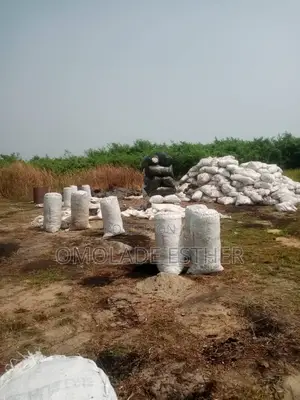Coconut Shell Charcoal