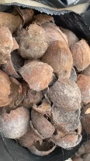 Coconut Shell Charcoal