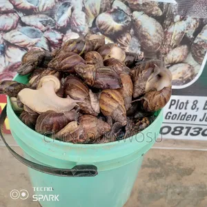 Fresh Snails in Paint