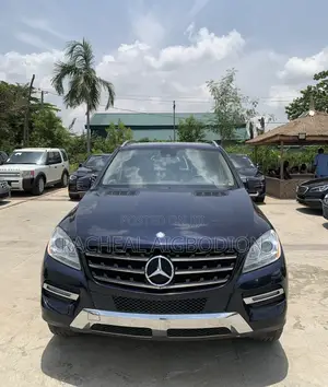 Mercedes-Benz M Class 2015 Blue