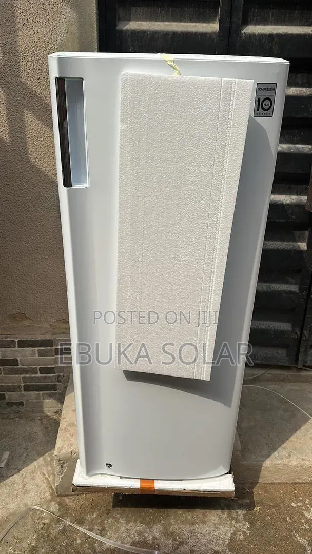 Lg Standing Fridge Ice Block Making