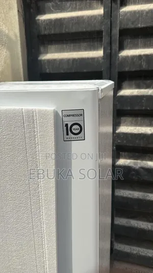 Lg Standing Fridge Ice Block Making