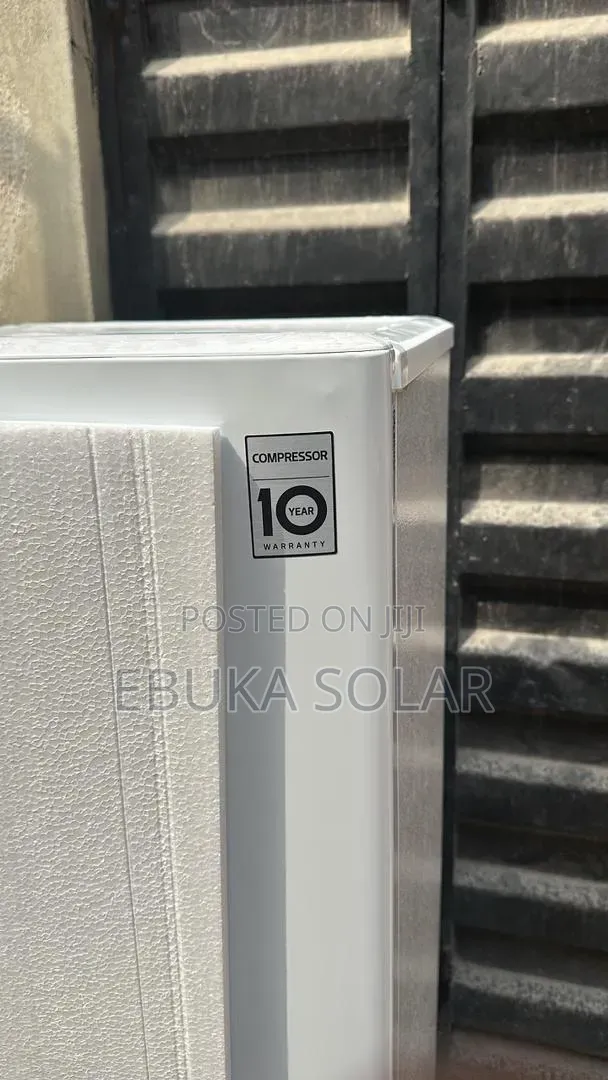 Lg Standing Fridge Ice Block Making