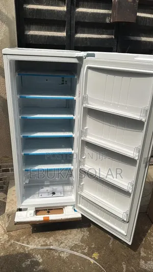 Lg Standing Fridge Ice Block Making