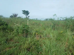 Plots for Sale