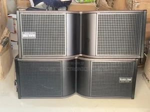 Dual 10" Black Star Line Array Speaker