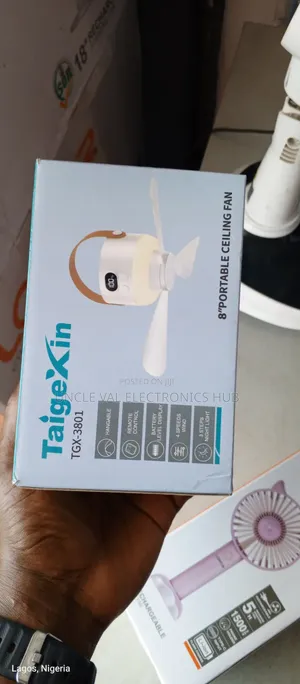 Taigexin 8" Rechargeable Ceiling Fan
