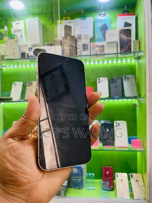 Apple iPhone 12 Pro Max 256 GB Gold