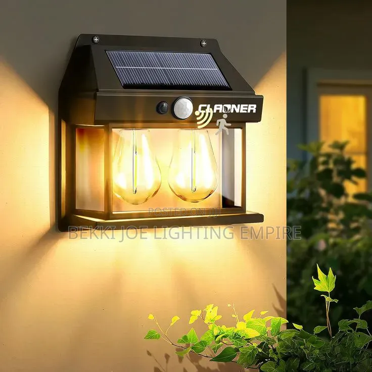 Solar Double Security Light