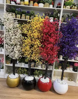 Home Accessories