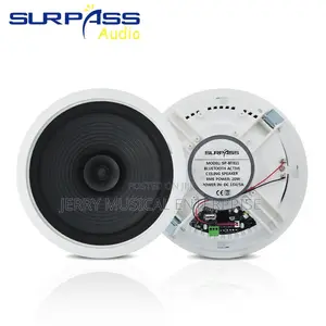 Surpass 2n1 Audio Sound Speaker