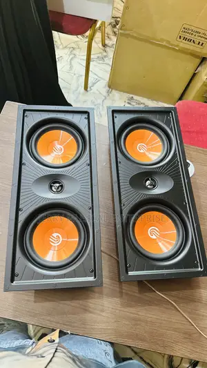 100w Double in Wall Speakers With Twitter and Base