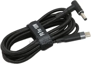 Laptop Type C to Blue Mouth Pin 100w 20v Cable