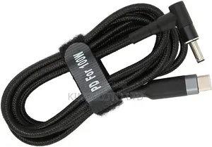 Laptop Type C to Blue Mouth Pin 100w 20v Cable