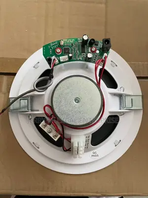 30w Single Active Ceiling Speakers Bluetooth