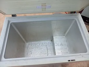 Hiesence Fancy Freezer
