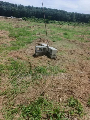 Landed Property