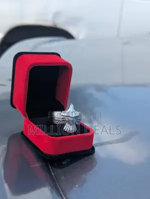 Bird Inspires Steel Silver Men's Ski Ring