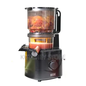 Multifunctional High Induction Ac Motor Masticating Juicer (Bj23)