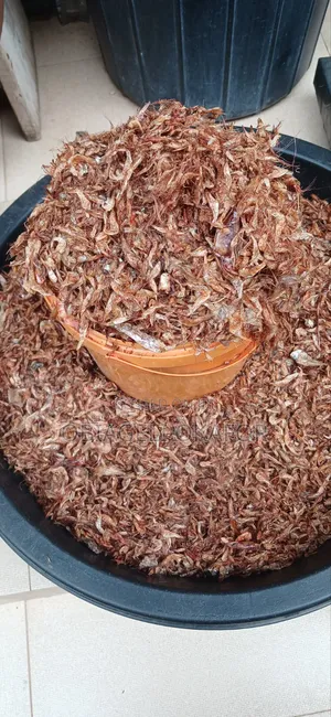 Oron Crayfish