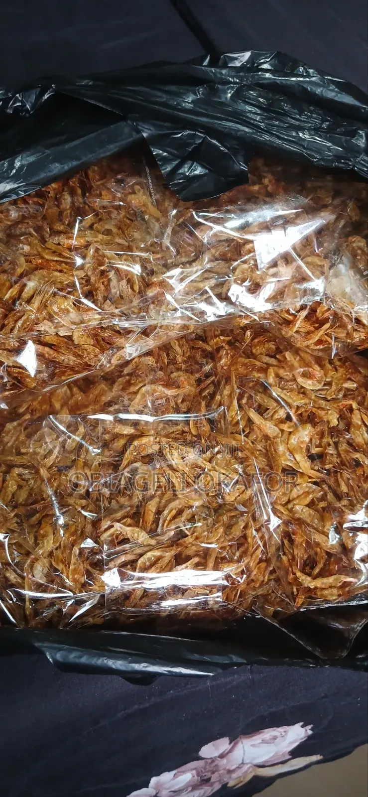 Oron Crayfish