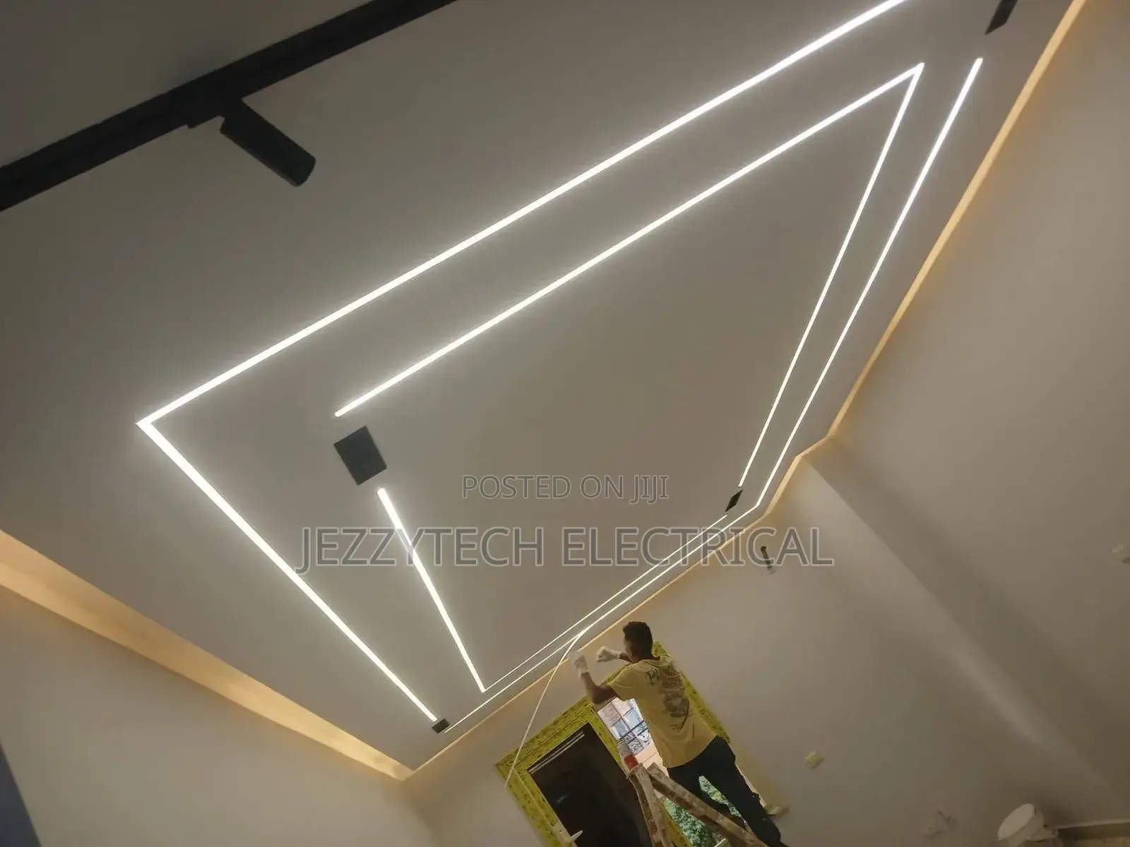Professional Solar and Electrical Services