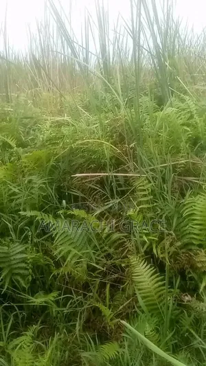 A Plot of Land for Sale