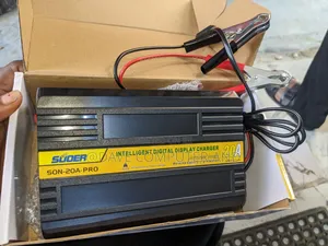 20ahs 12/24v Battery Charger