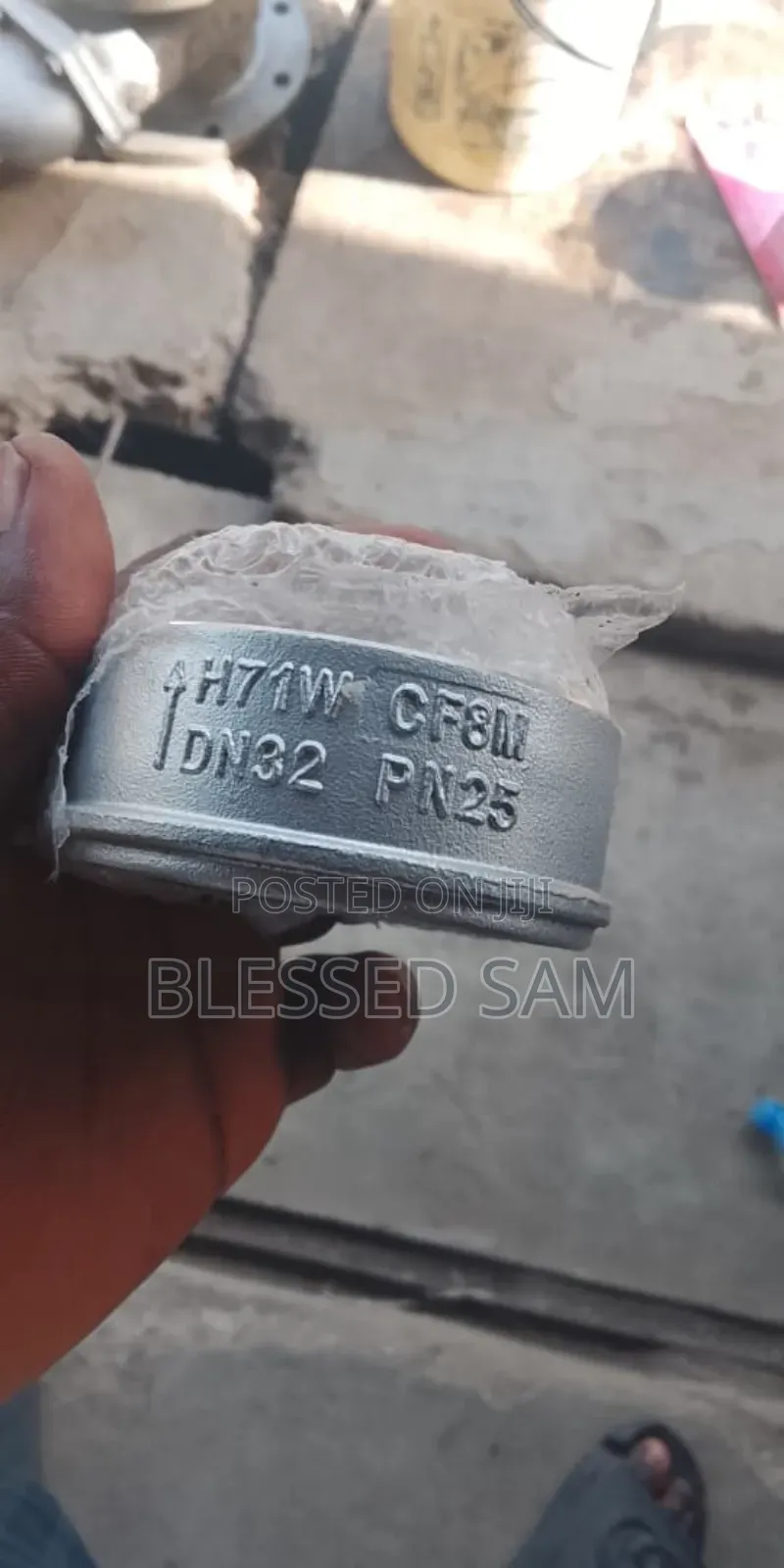 Gestra Non Return Valve