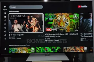 Very Clean Uk Used Lg Oled 55" Uhd Smart Tv With Stand/Magic Remote