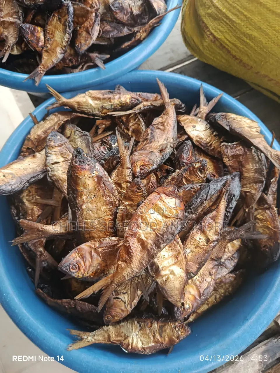 Freshly Dried Bonga Fish