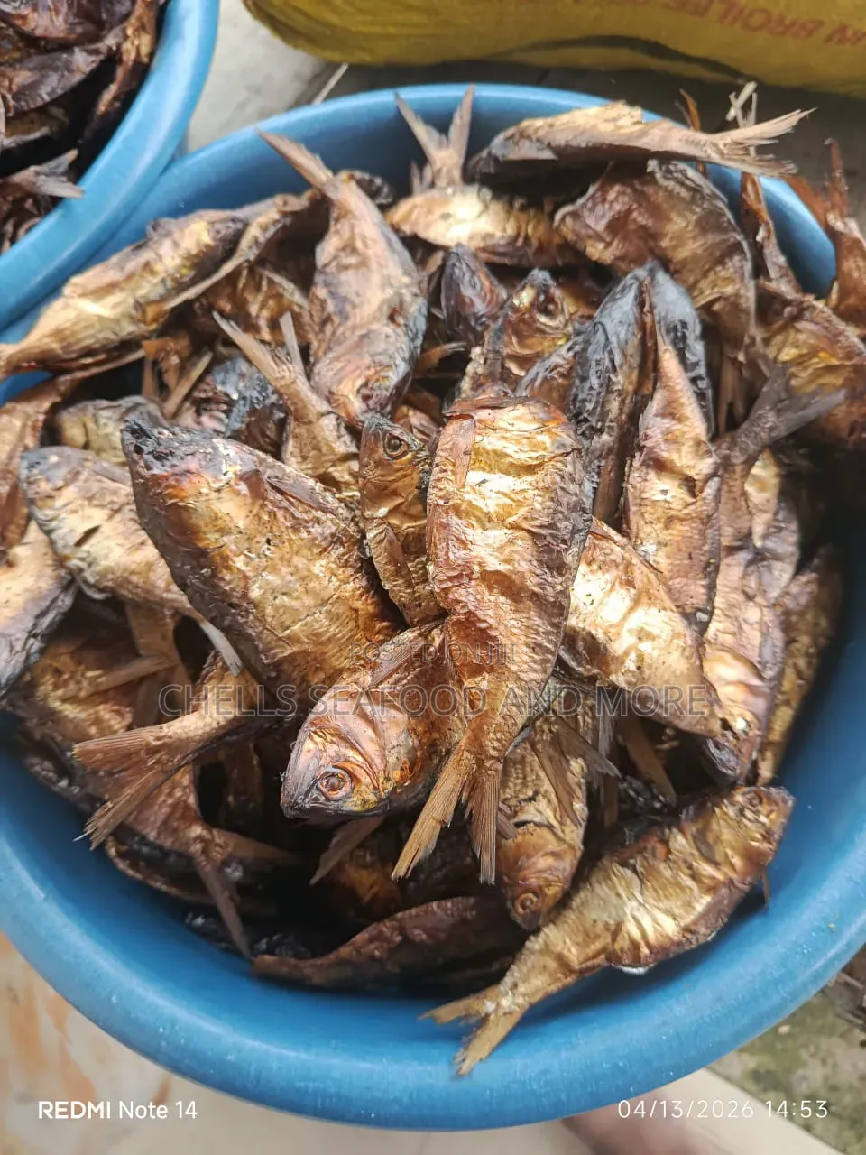 Freshly Dried Bonga Fish