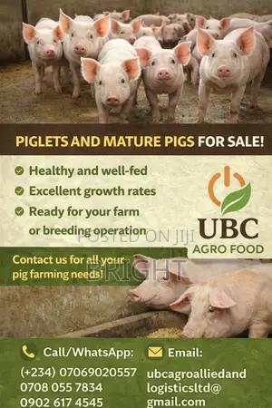 Ubc Agro-Allied and Logistics Services