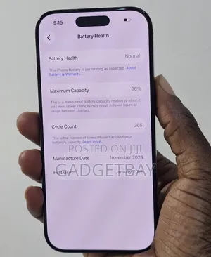 Apple iPhone 16 Pro 256 GB Gray