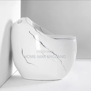 Luxury Marble Design Water Closet