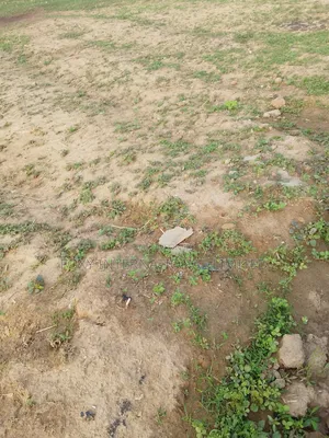 100 Hectares Land for Sale at Maitama2