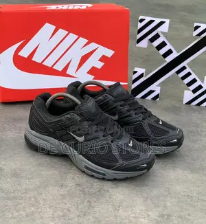 Pegasus 2k5 Runner Multicolor