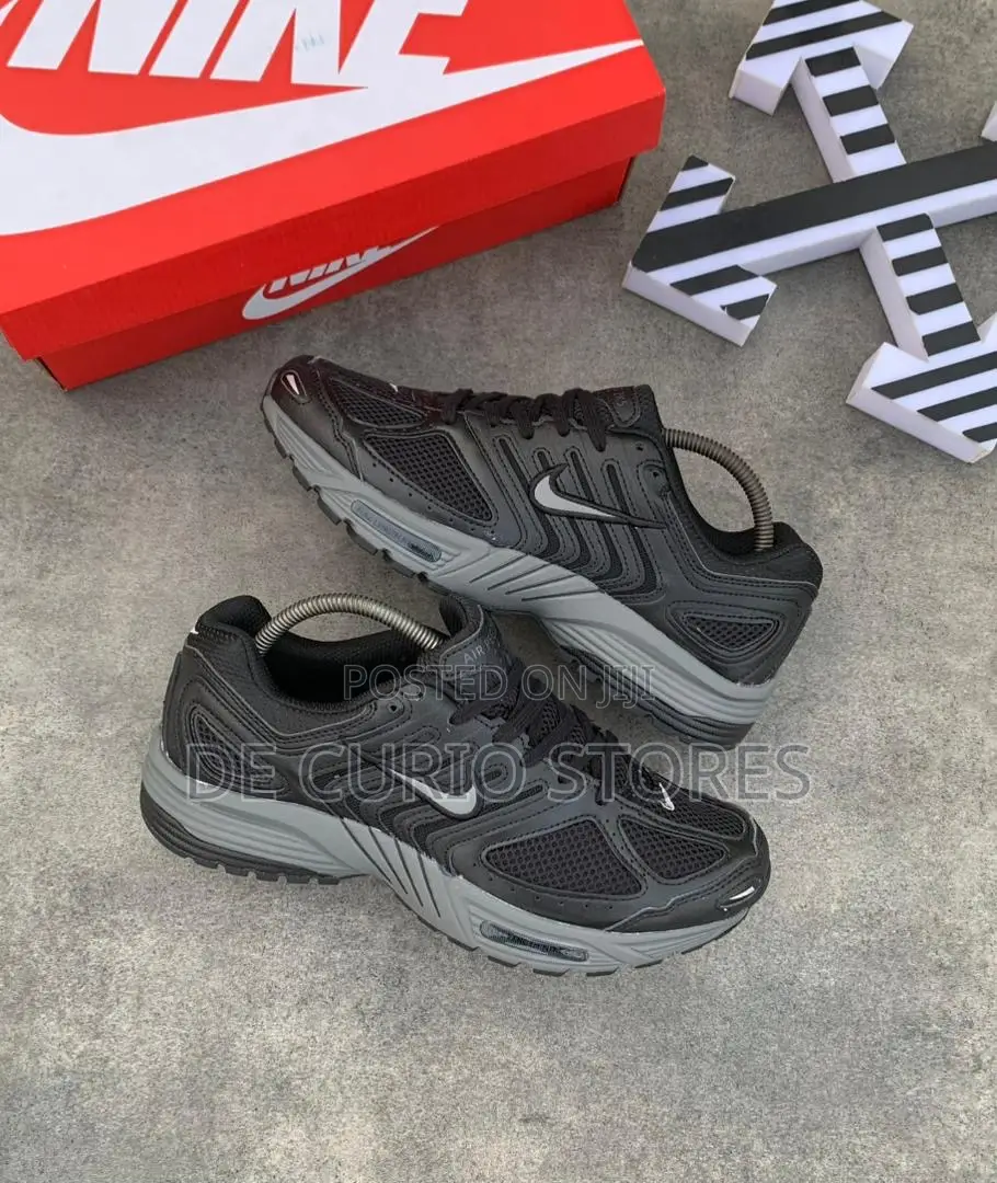 Pegasus 2k5 Runner Multicolor