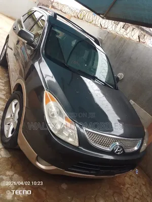 Hyundai Veracruz 2007 Gray