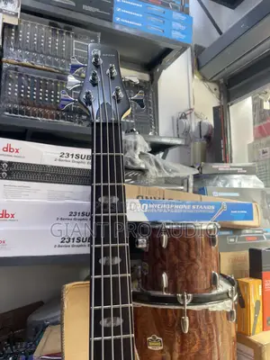 Professional Gipson 5 Strings Passive Bass Guitar
