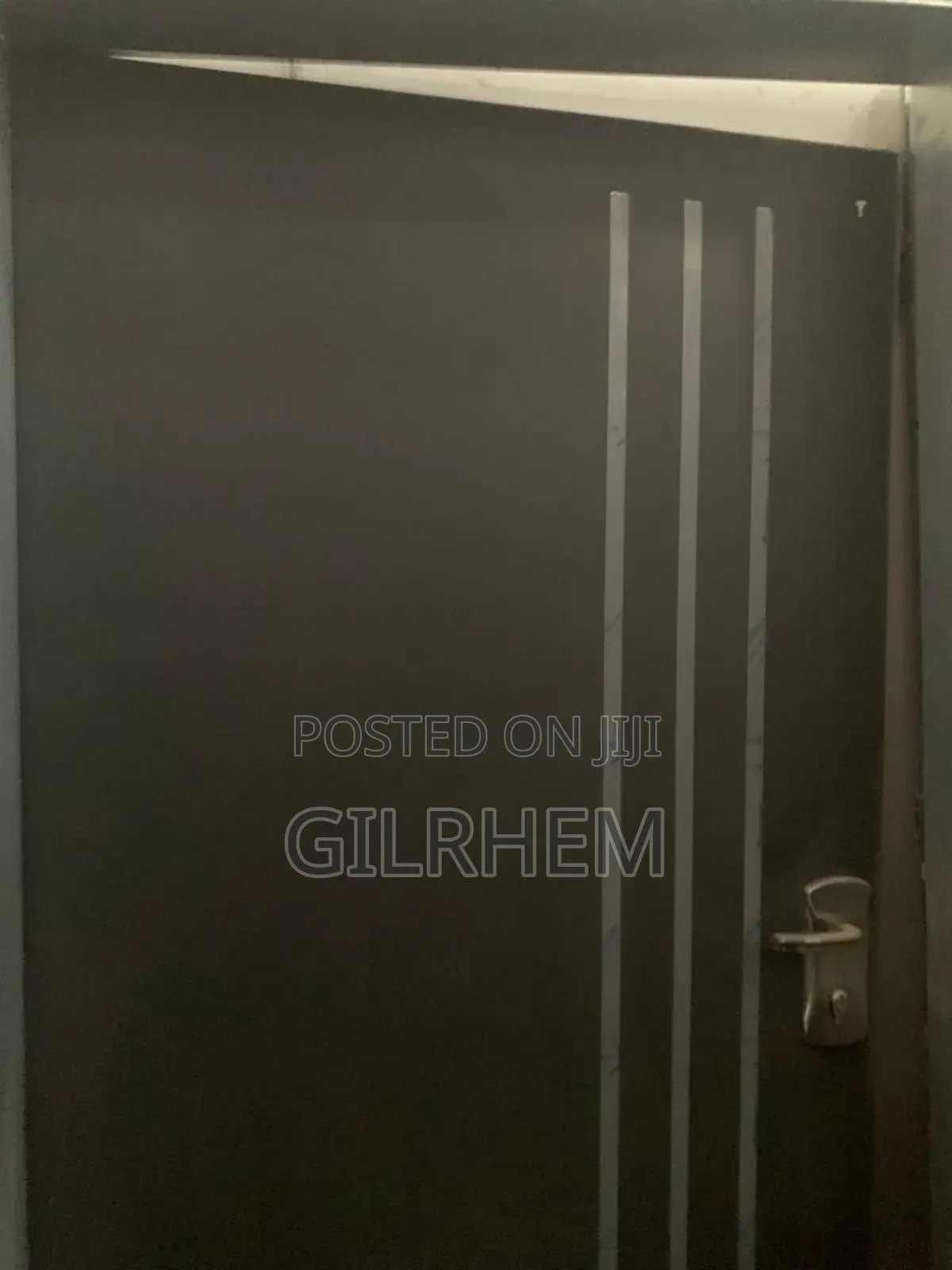 Israel Security Door