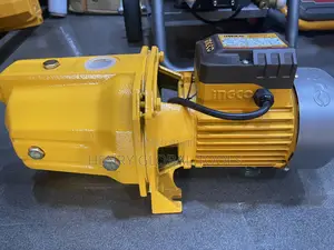 750w 1.0hp Ingco Surface Water Pump Machine