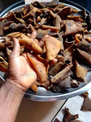 Washed Pọnmọ Ìjẹbú