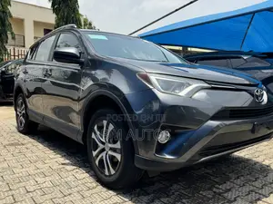 Toyota RAV4 LE AWD (2.5L 4cyl 6A) 2016 Gray