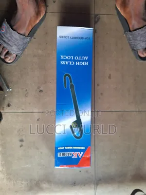 Pedal and Steering Lock