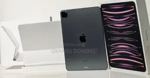 Apple iPad (2022) 256 GB Gray